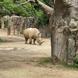 Meet your Posher, Olaide